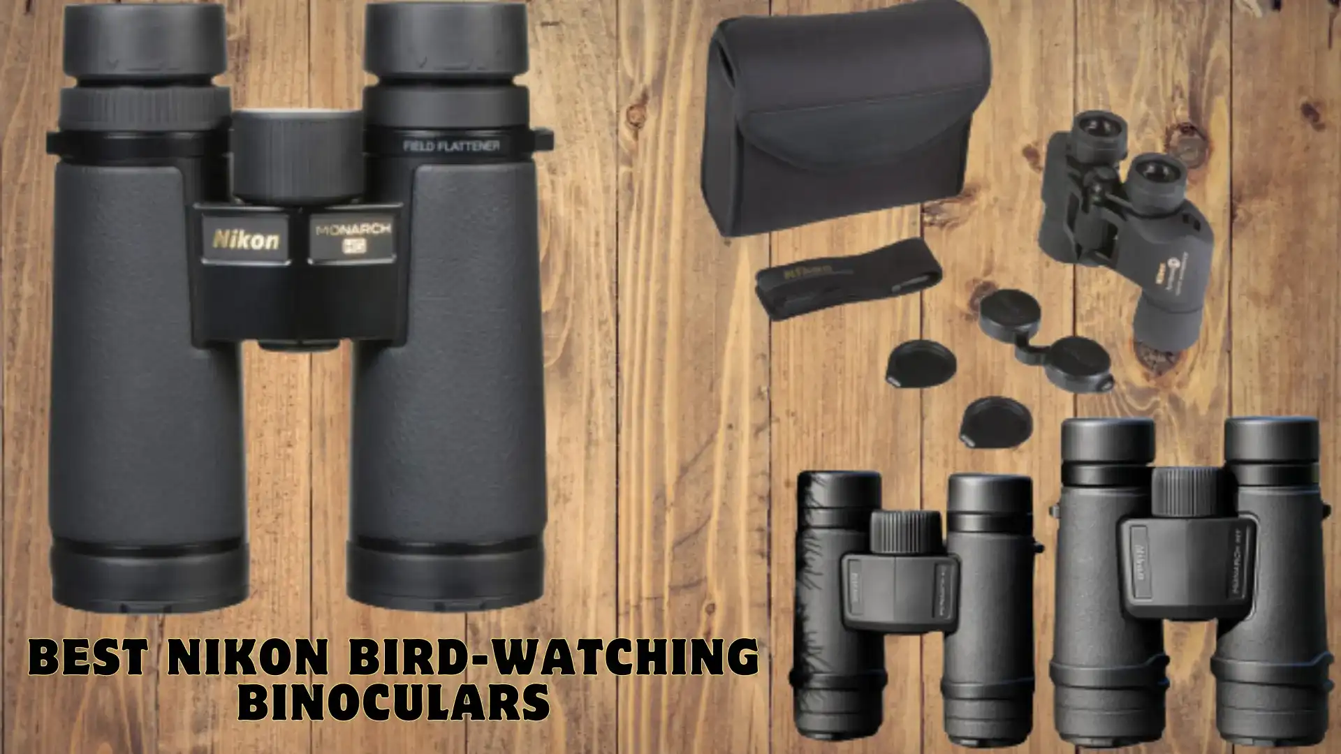 Best Nikon Bird Watching Binoculars