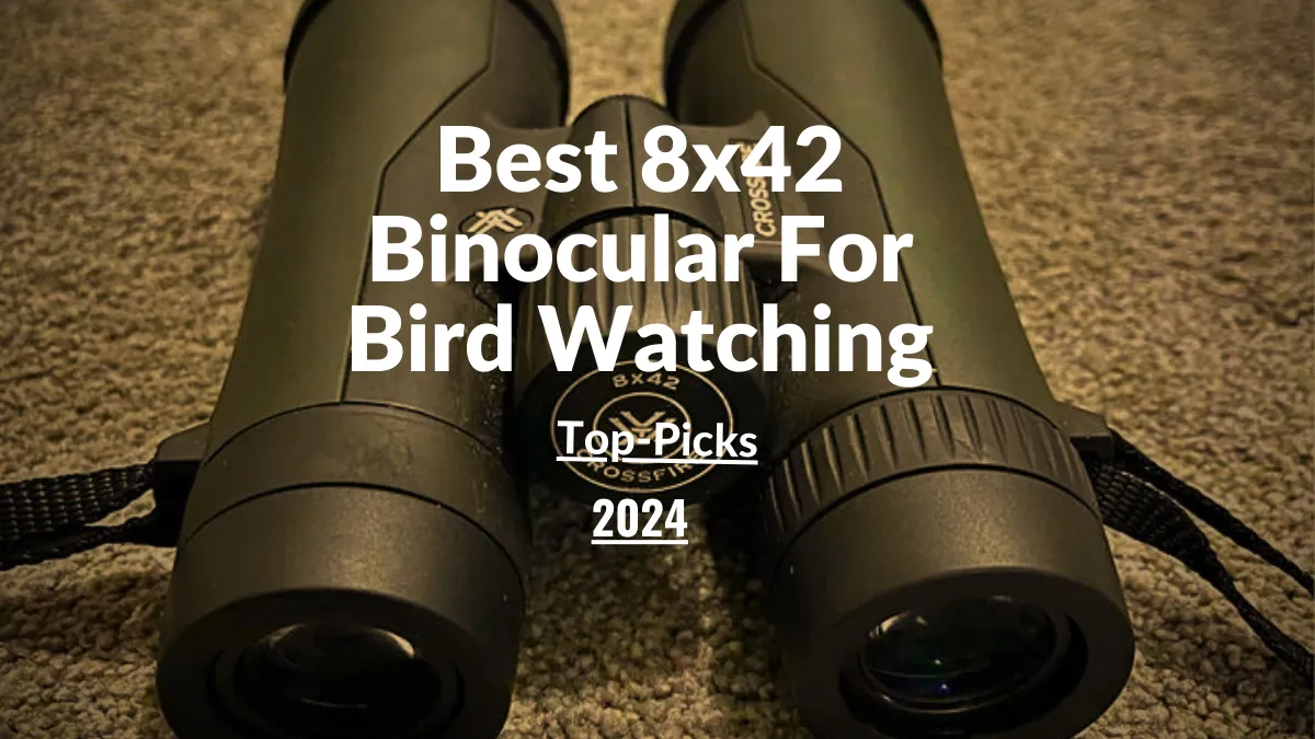 Best 8x42 Binocular For Bird Watching