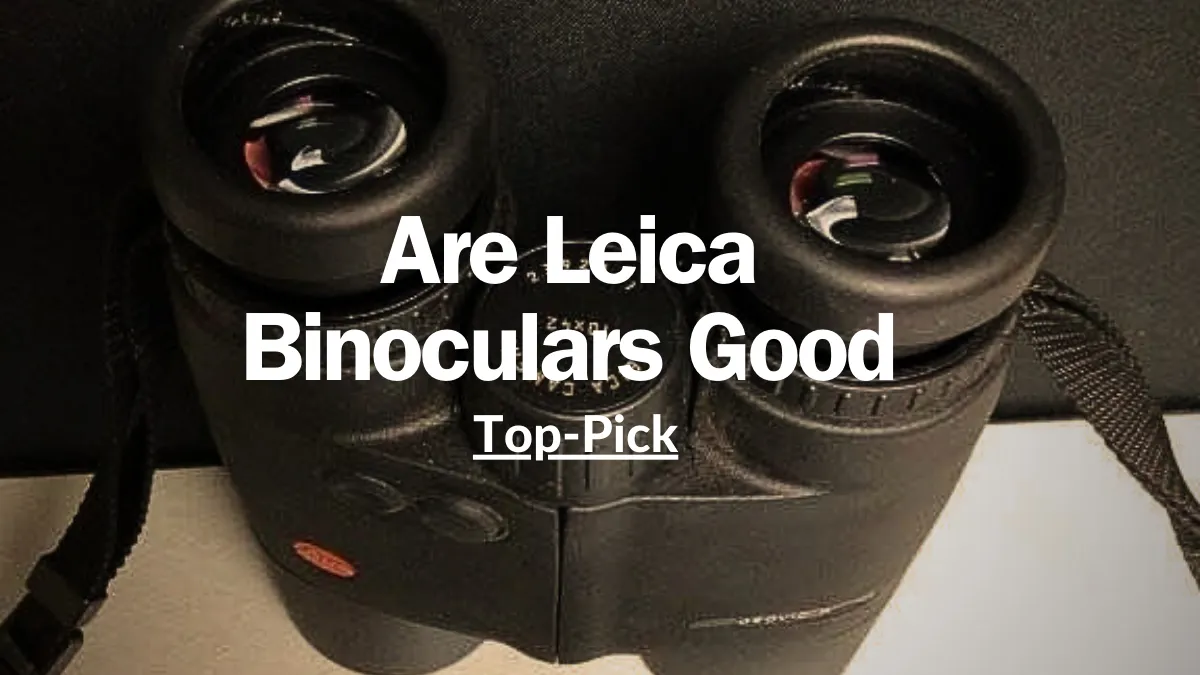 Are Leica Binoculars Good