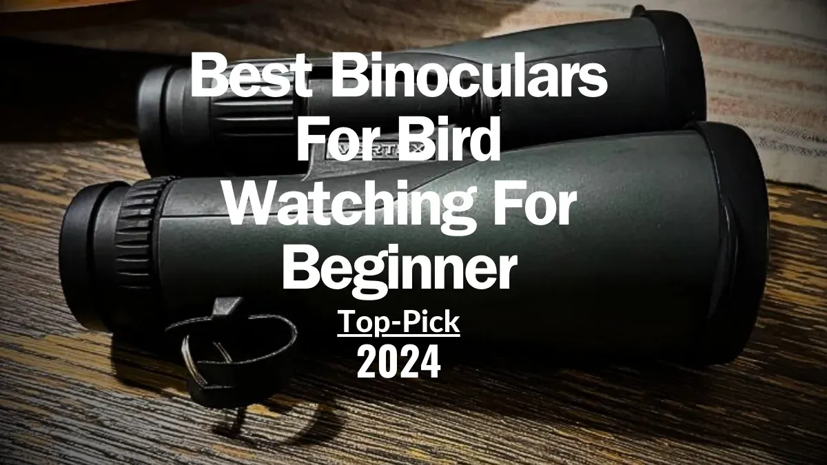 Best Binoculars For Bird Watching For Beginners