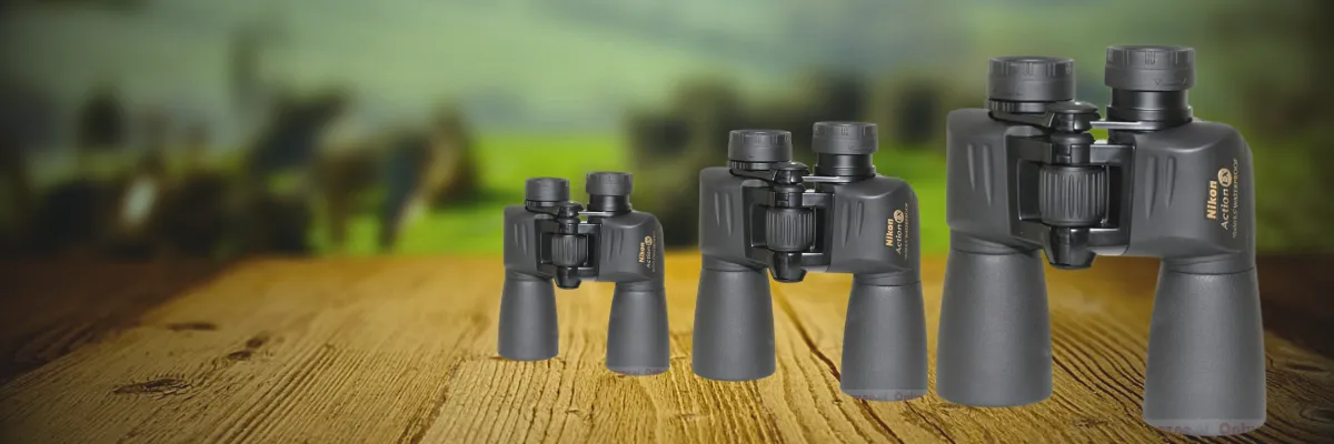 Best Binoculars For Bird Watching In Low Light