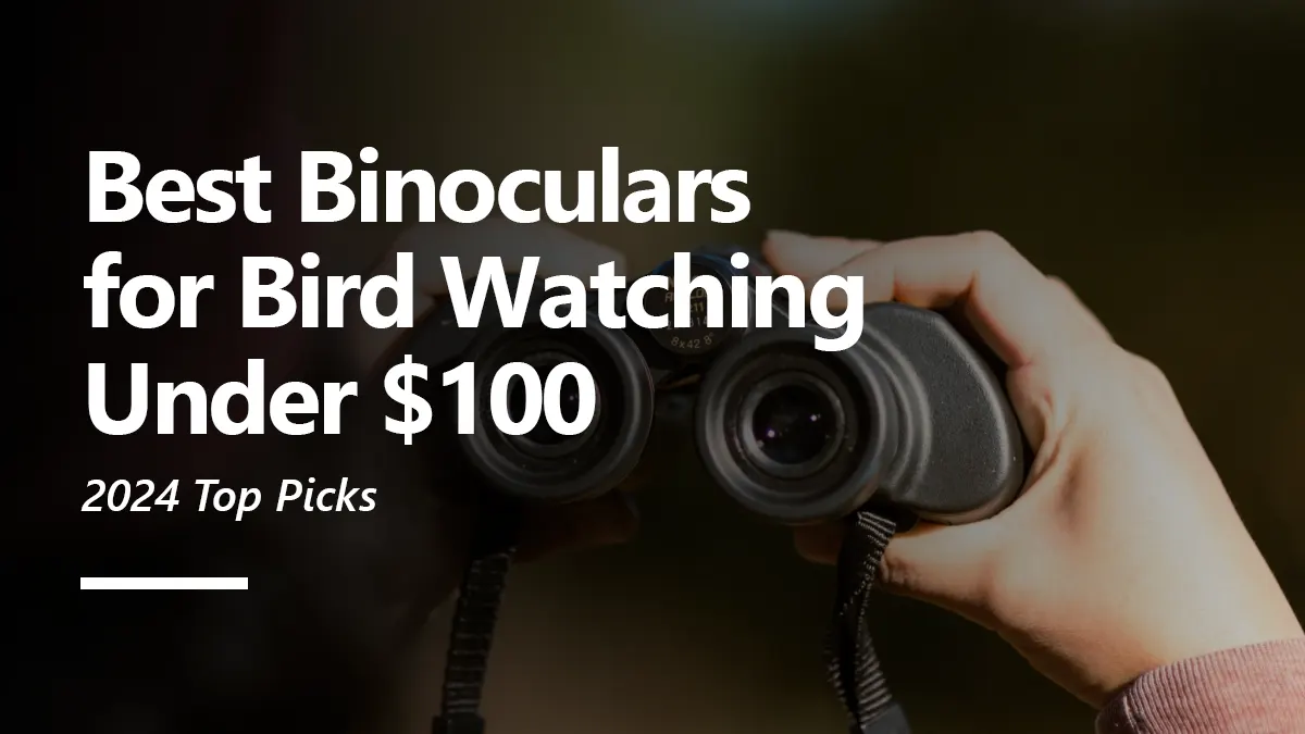 Best Binoculars For Bird Watching Under $100