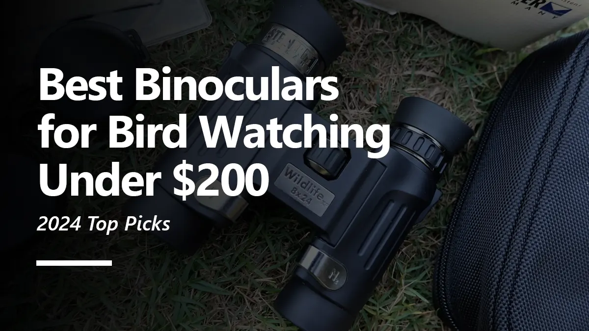 Best Binoculars For Bird Watching Under $200