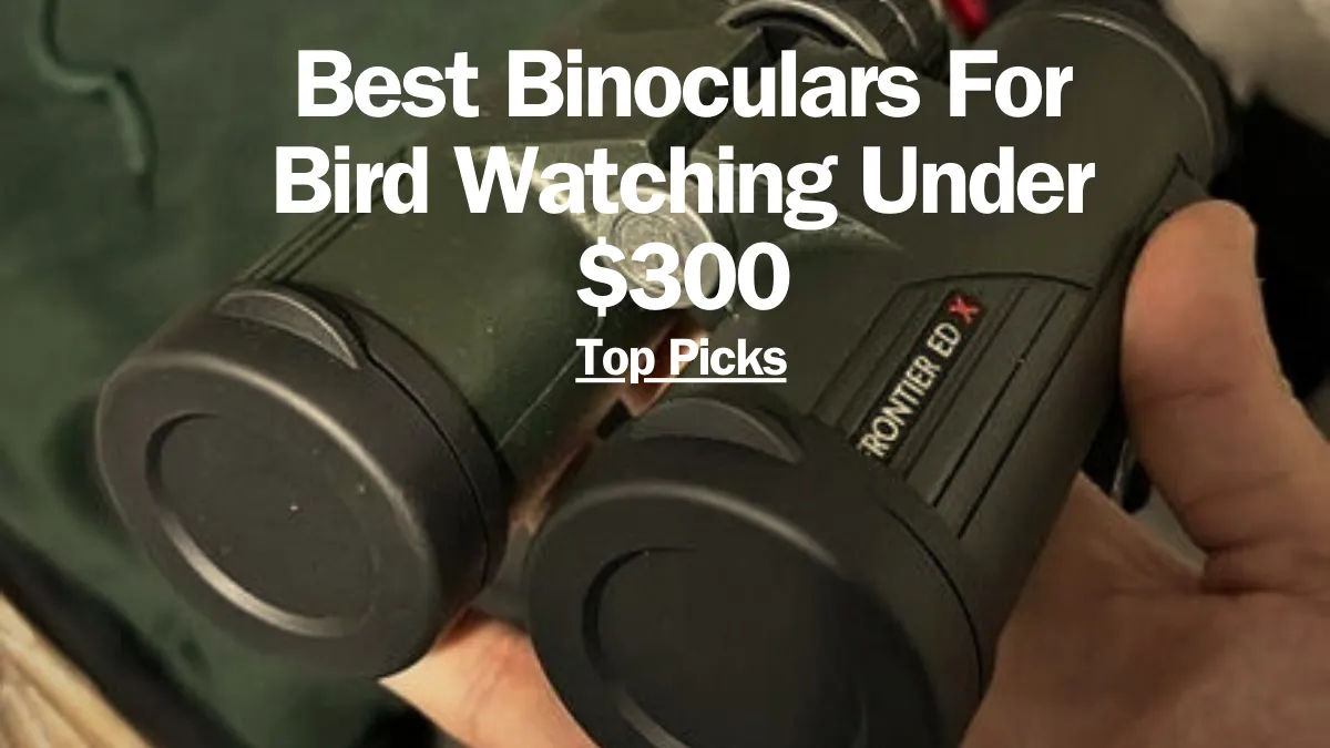 Best Binoculars For Bird Watching Under $300