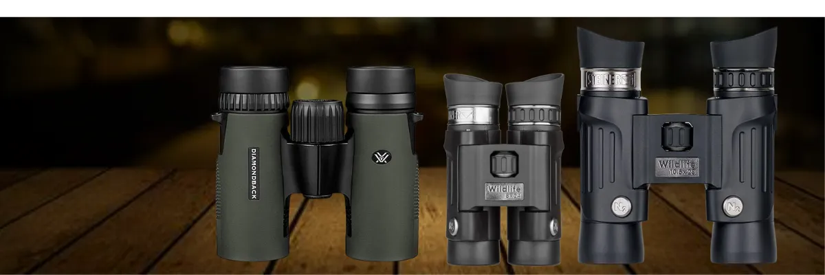 Best Binoculars For Bird Watching With Compact Design