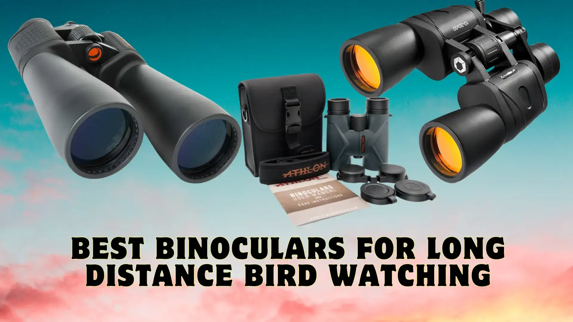 Best Binoculars For Long Distance Bird Watching
