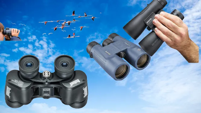 Best Bushnell Binoculars For Bird Watching