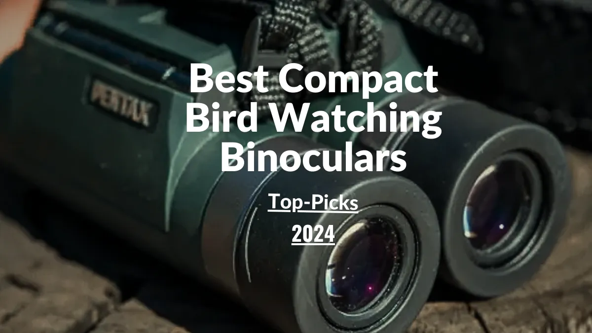 Best Compact Bird Watching Binoculars