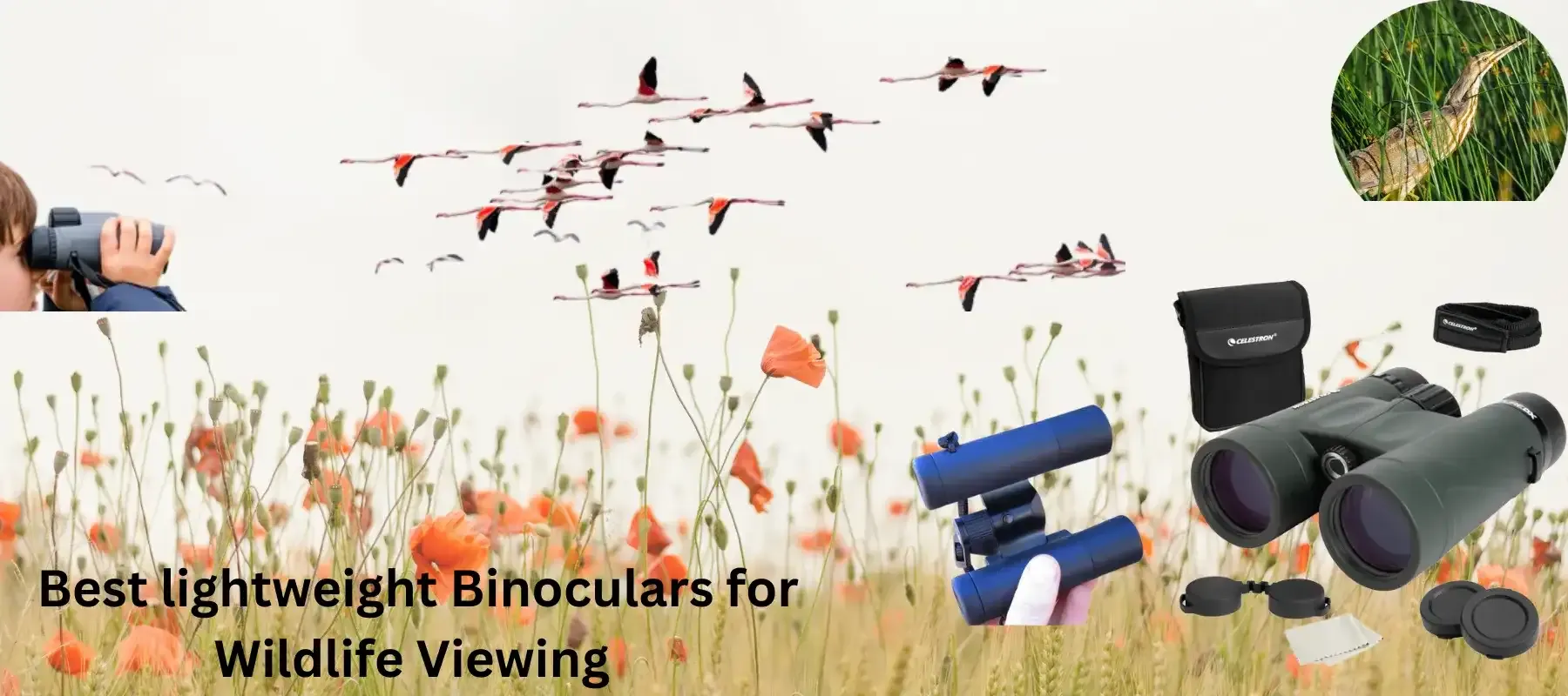 Best Lightweight Binoculars For Wildlife Viewing