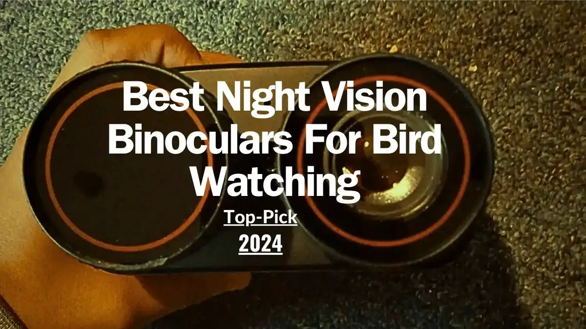 Best Night Vision Binoculars For Bird Watching