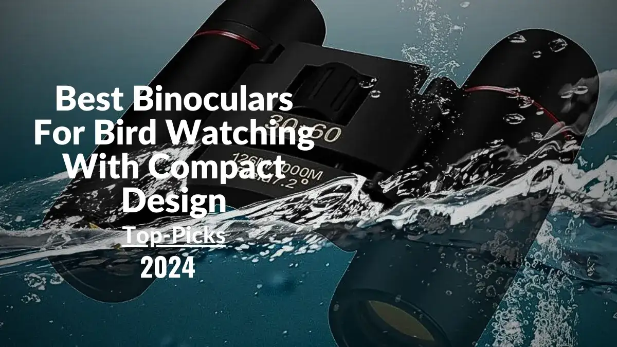 Best Binoculars For Bird Watching With Compact Design