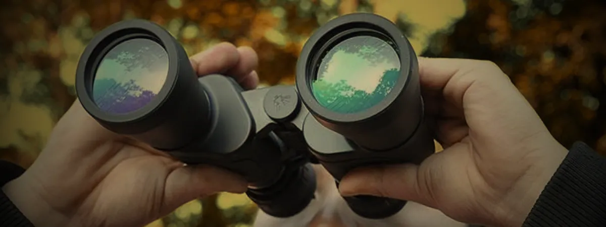 Best Binoculars For Bird Watching For Beginners