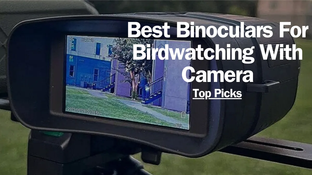 Best Binoculars For Birdwatching With Camera