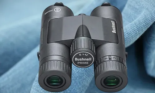 Bushnell Prime 8×42 Binoculars