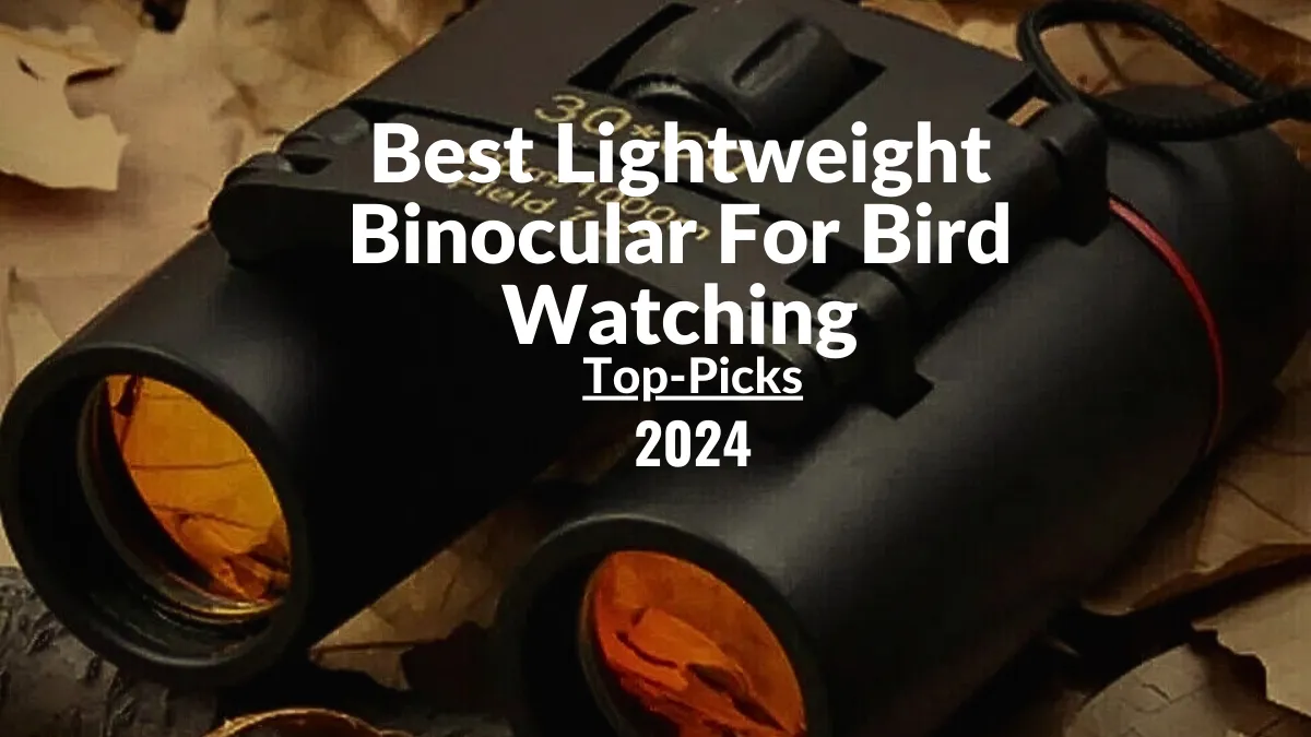 Best Lightweight Binocular For Bird Watching